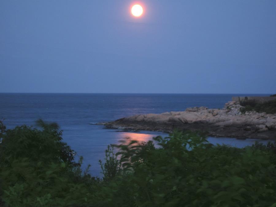 Seafarer Inn Rockport Exteriér fotografie